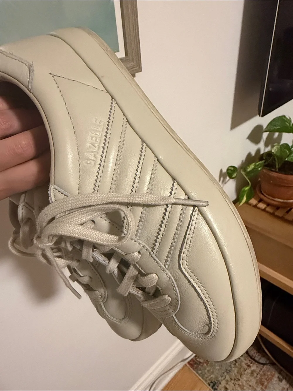 Adidas Cream Sneaker- fits more like a 7